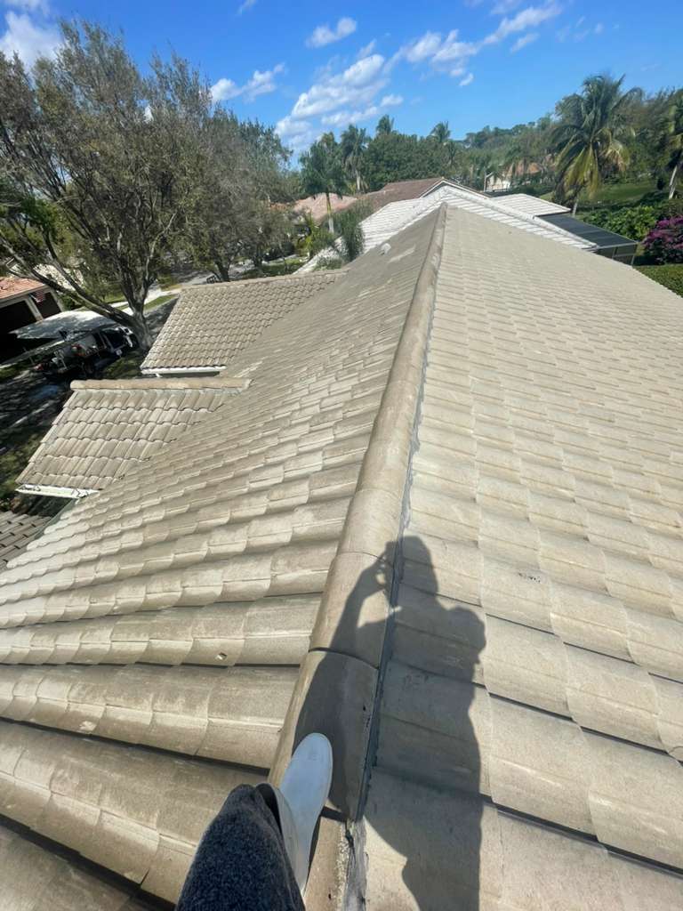 Fence Painting & Restoration - After professional lawn care and landscaping service by The Fresh Feel in South Florida